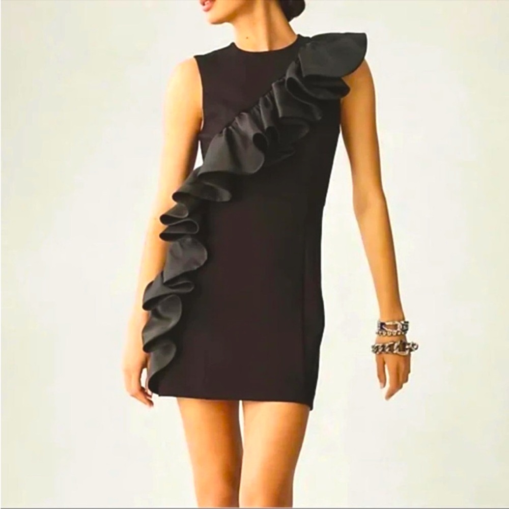 NWT Hutch Sleeveless Ruffle Sheath Dress -  Beautiful Cocktail/Holiday Dress
